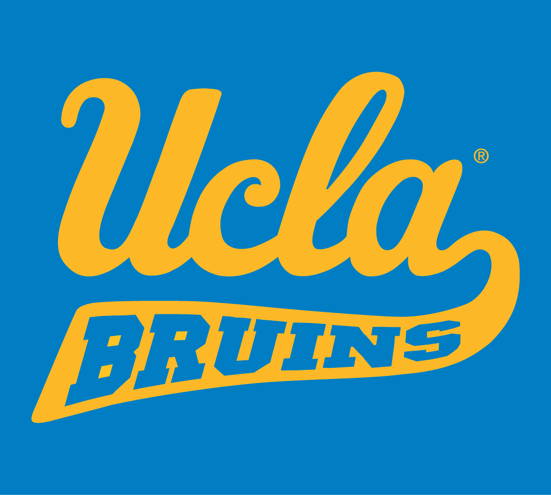 UCLA Bruins 1996-2017 Alternate Logo v6 iron on transfers for clothing